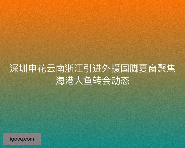 深圳申花云南浙江引进外援国脚夏窗聚焦海港大鱼转会动态