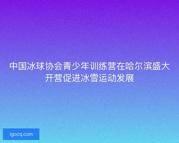 中国冰球协会青少年训练营在哈尔滨盛大开营促进冰雪运动发展